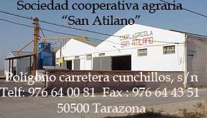 Cooperativa